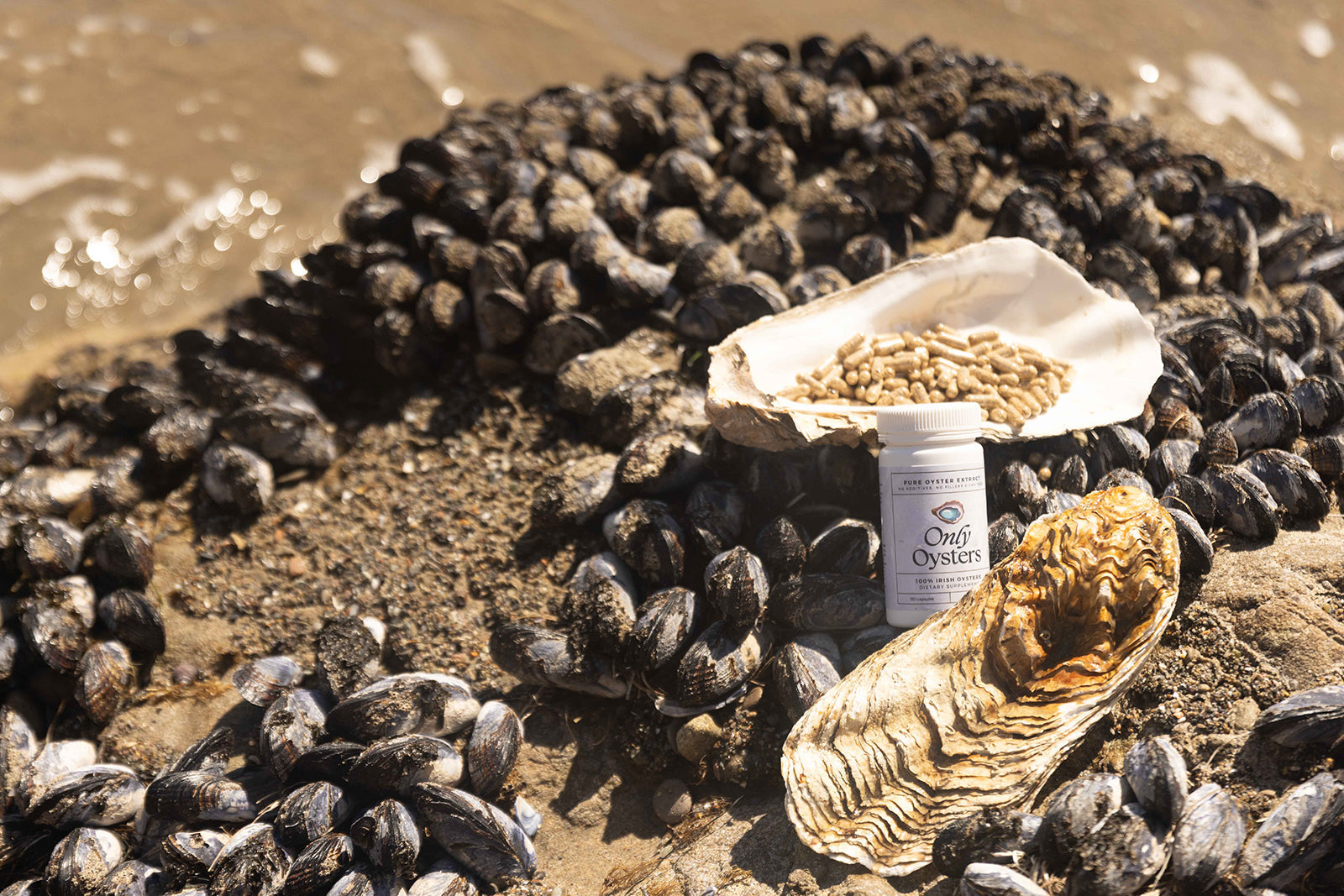 10 Benefits of Oyster Extract You Should Know